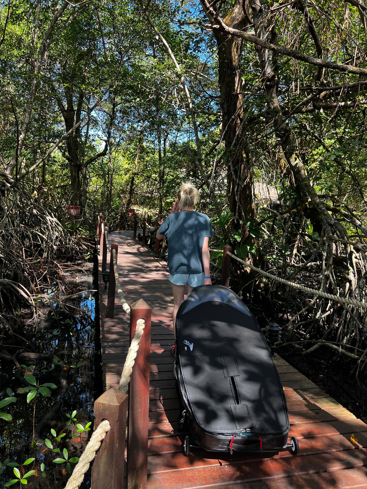Hiking down to the surf break through jungle, Bocas del Toro