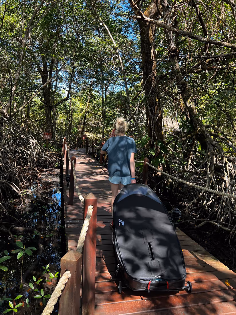 Llevando una tabla de surf por un sendero de selva hacia el rompiente