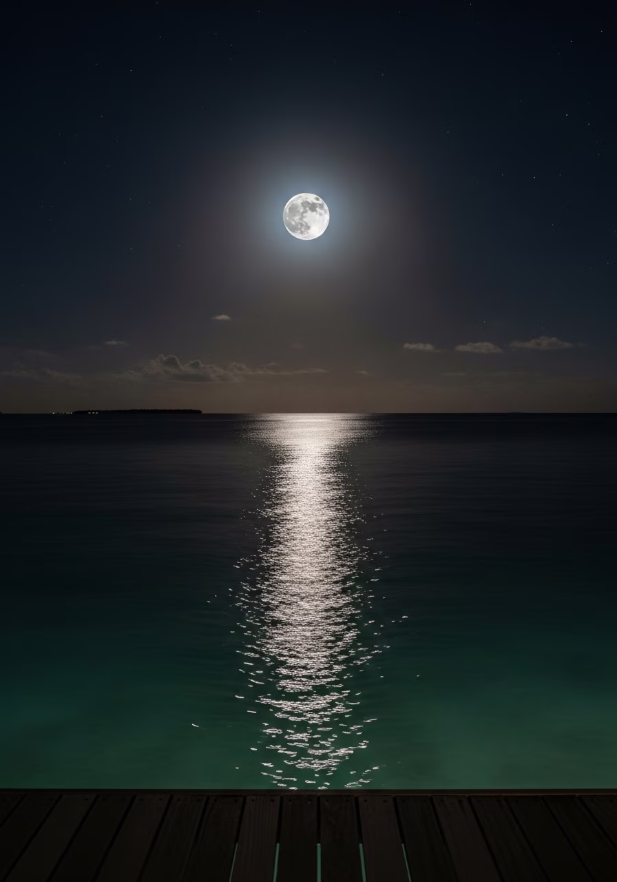 Star-filled night sky over the ocean